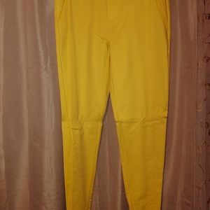 Eye catching dress pants